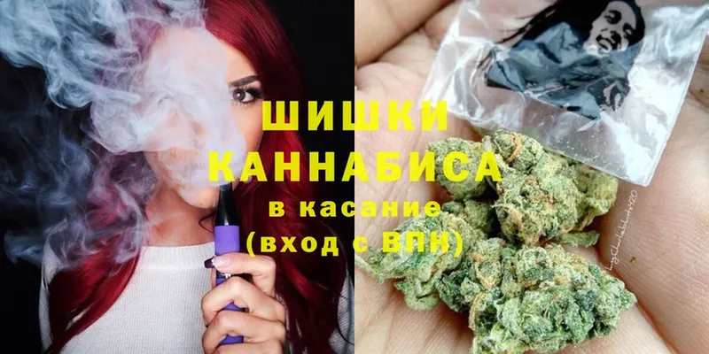 Бошки марихуана Amnesia  как найти закладки  Струнино 